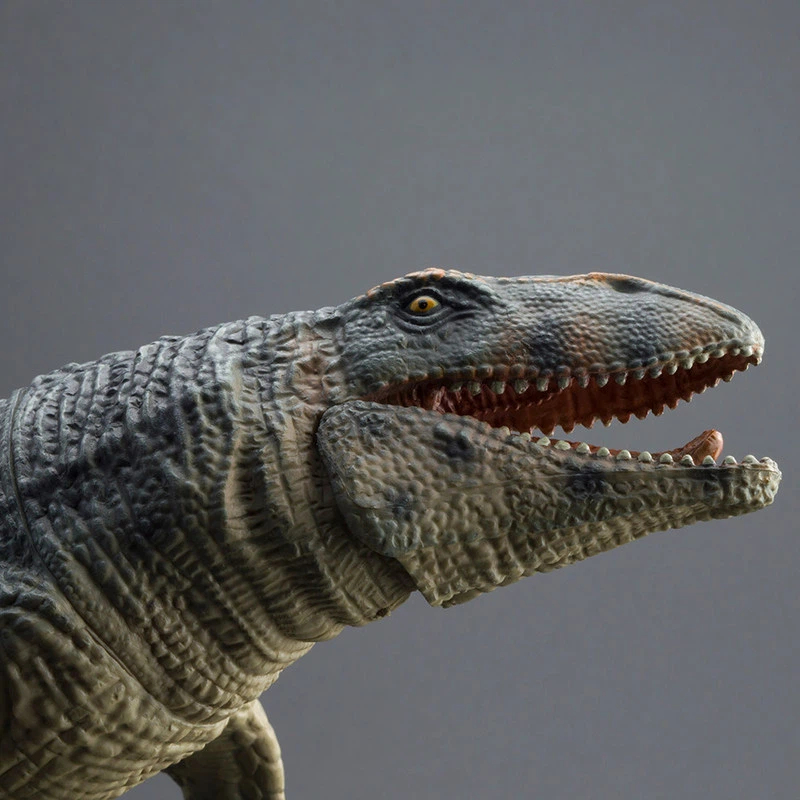 Science Toys - Figura de Juguete de Animal Marino