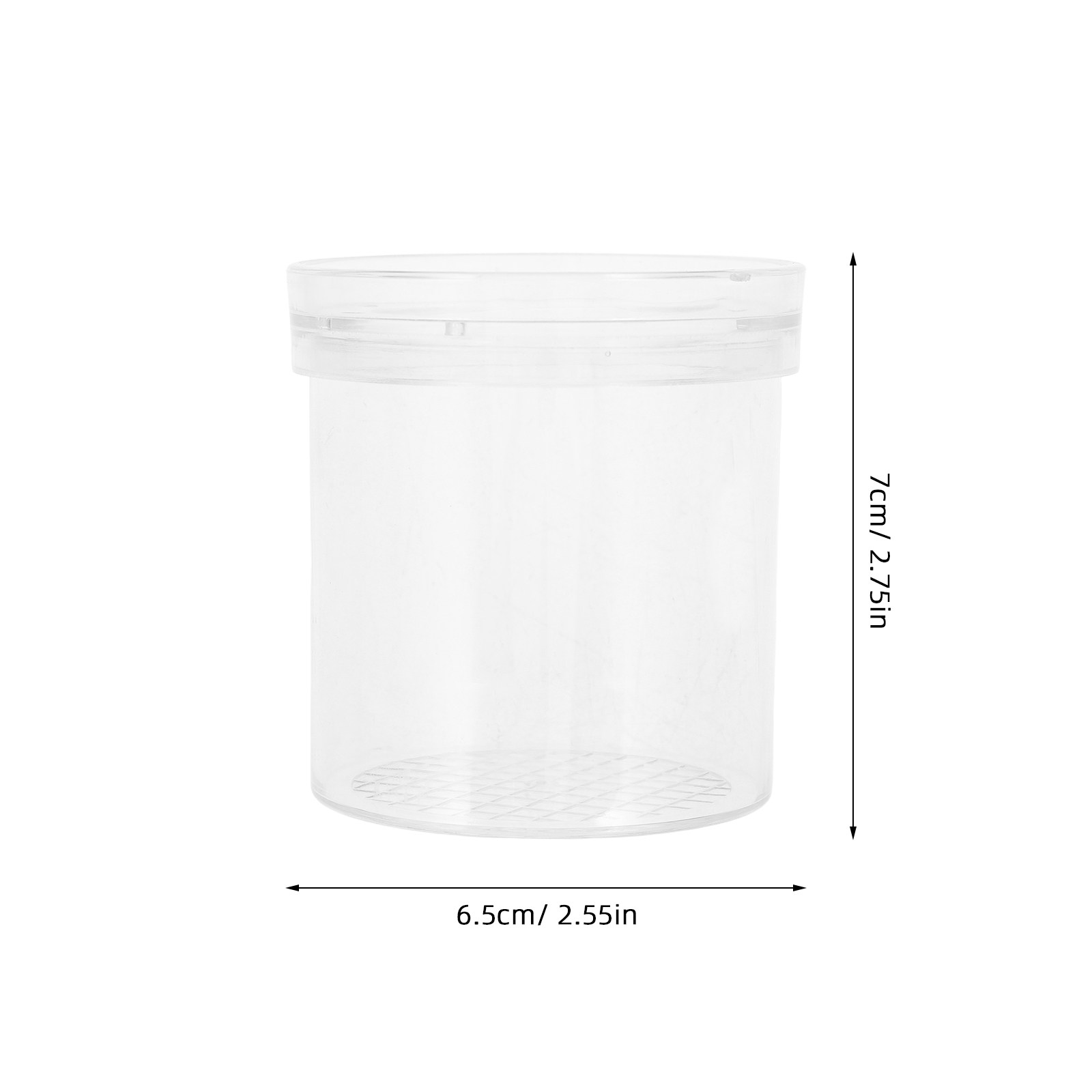Caja de Observación de Insecto - Science Toys reseña y precio