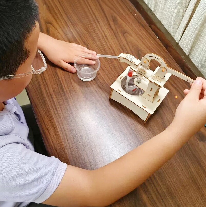 Kit de Montaje de Modelo de Po - Science Diy Model reseña y precio