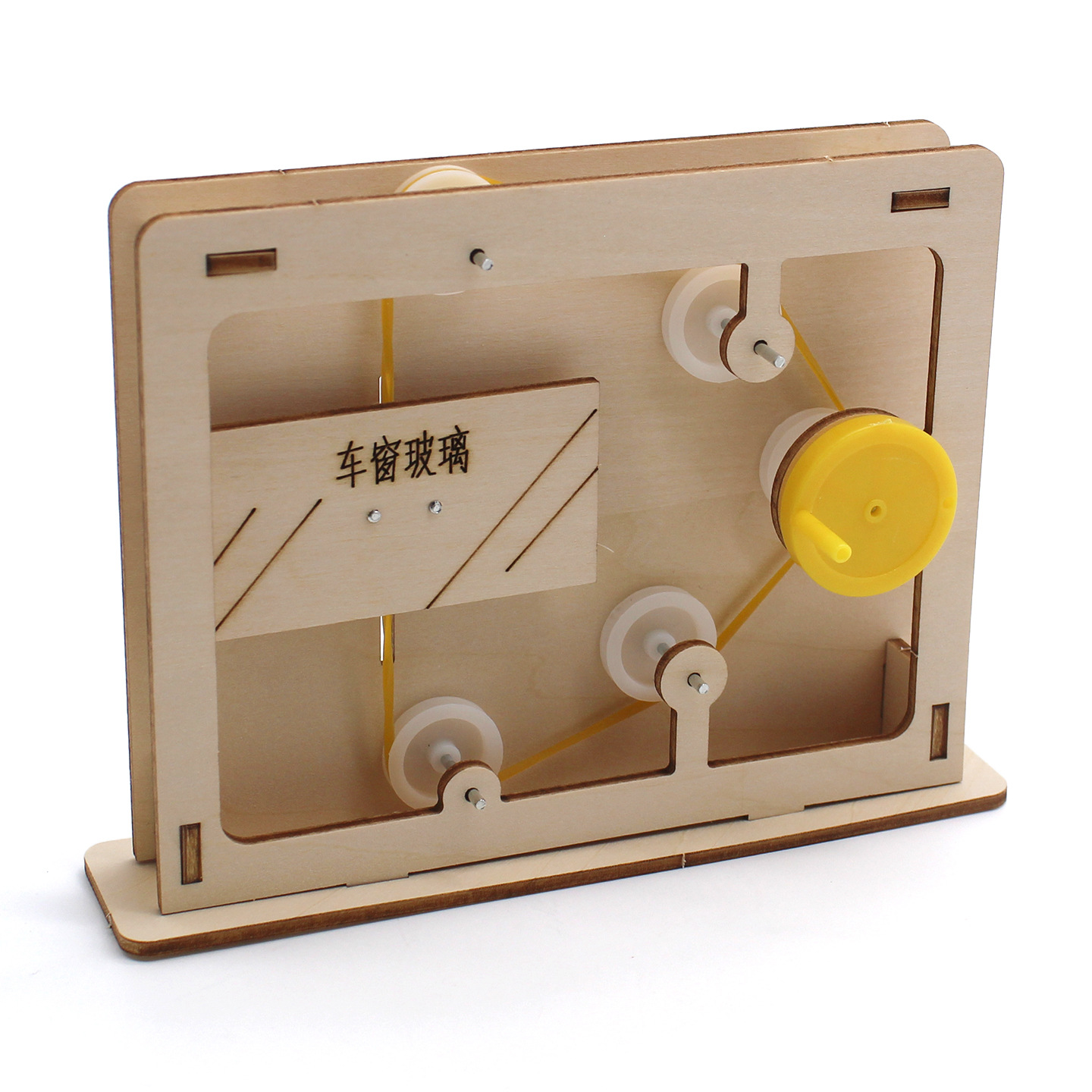 Modelo educativo de cuerda y p - Science Toys reseña y precio