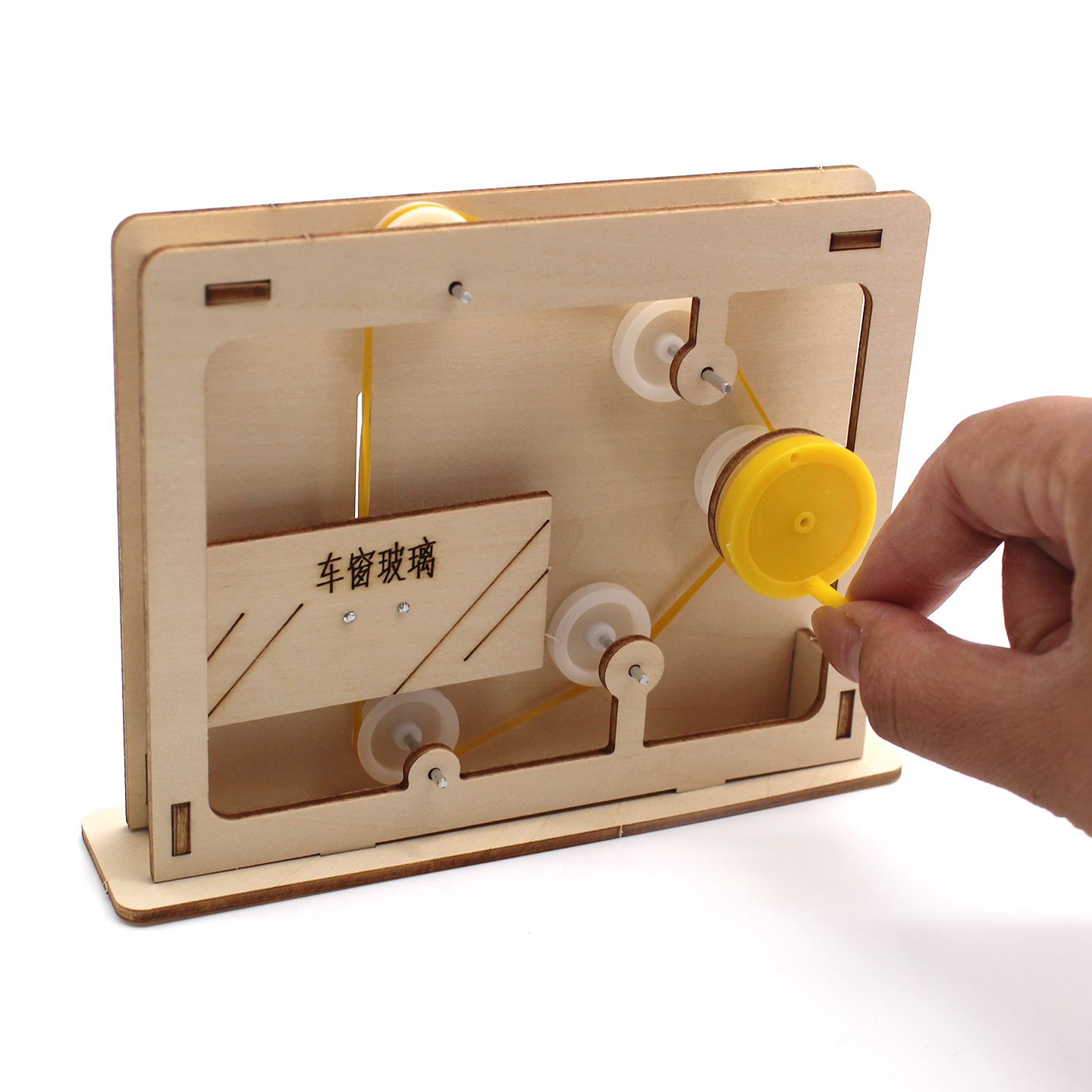 Modelo educativo de cuerda y p - Science Toys reseña y precio