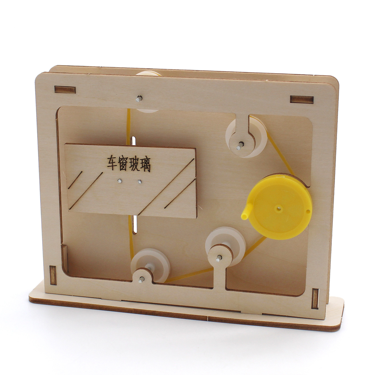 Modelo educativo de cuerda y p - Science Toys reseña y precio